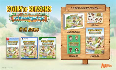 Story Of Seasons A Wonderful Life Will Be Released This Summer