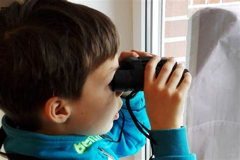 Singv Gel Beobachten Wie Man V Gel In Den Familien Garten Lockt