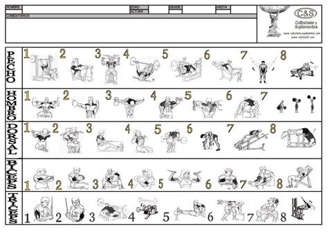 Rutina De Ejercicios Para El Gimnasio