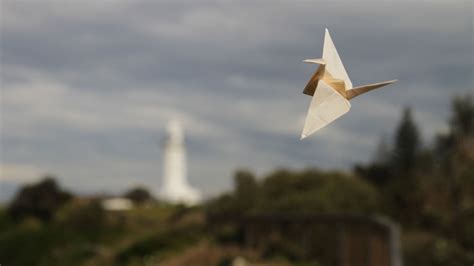 Origami Flight