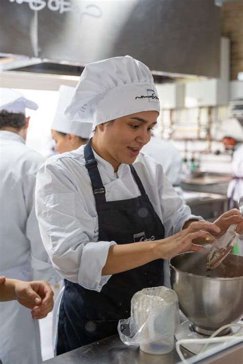 Pasteler A Panader A Gato Dumas Barranquilla