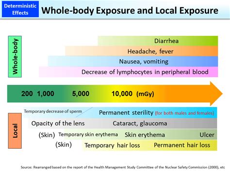 Whole Body Exposure And Local Exposure [moe]