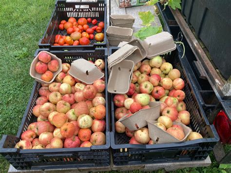 Rootworker Farm | Des Moines IA