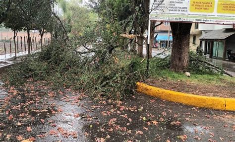 Inundaciones Y Rboles Ca Dos En Coalcom N Por Fuerte Viento Y