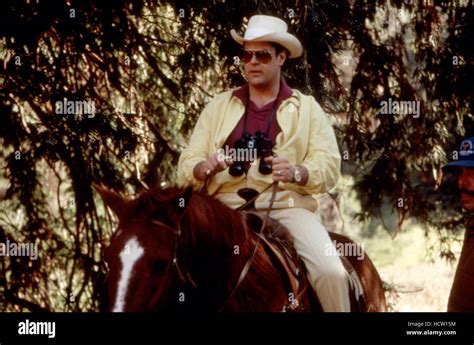 THE GREAT OUTDOORS, Dan Aykroyd, 1988, (c)Universal/courtesy Everett Collection Stock Photo - Alamy