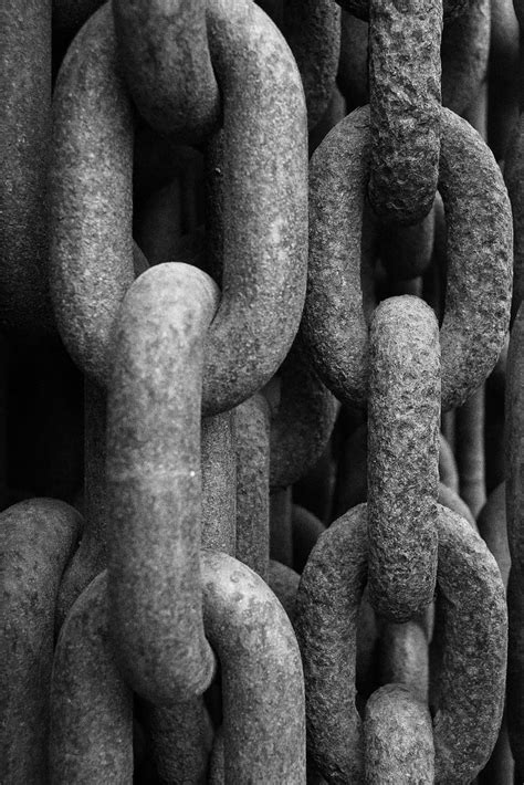 Pin By Lydia Van Alsenoy On Chained Black And White Picture Wall