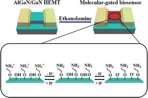 Schematic Illustrating The Conversion Of Algan Gan Hemt Into A