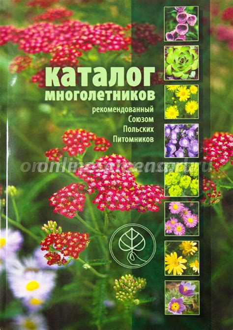 Каталоги цветов многолетних: Каталог многолетних садовых цветов с ...