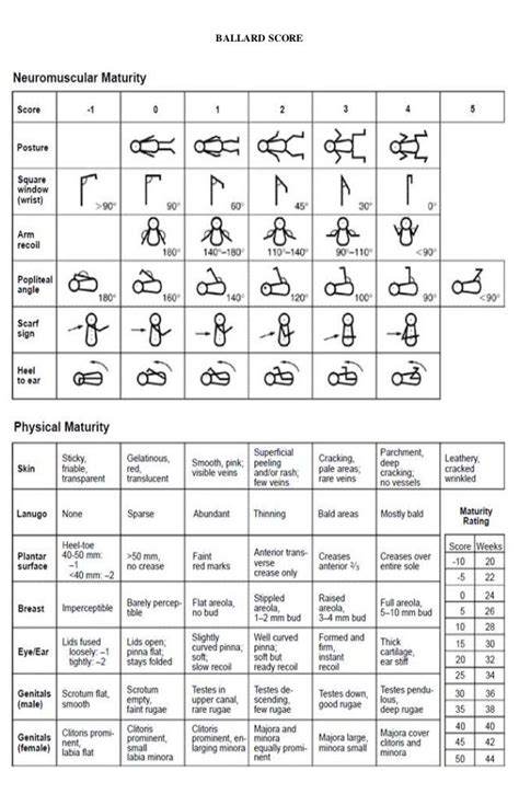 Ballard Scor1 Newborn Assessment Nursery Nurse Pediatric Nursing