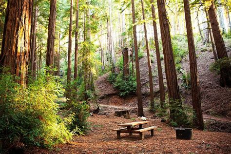 Ventana Campground | Camping In The Big Sur Redwoods California Coast ...