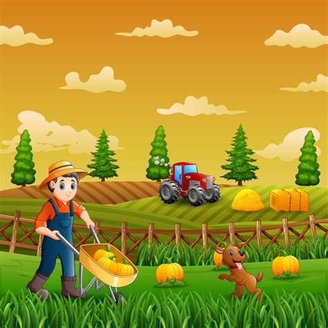 A Farmers Harvesting Pumpkins In The Farm 6413632 Vector Art At Vecteezy