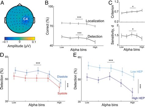 Prestimulus Sensorimotor Alpha Amplitude Affects Somatosensory