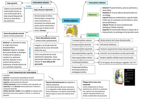 Mapa Conceptual Peric Rdio Emily Ochoa Udocz