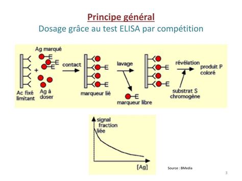 Anti Hbs Elisa Ykseklii Nedir Best Home Design Ideas