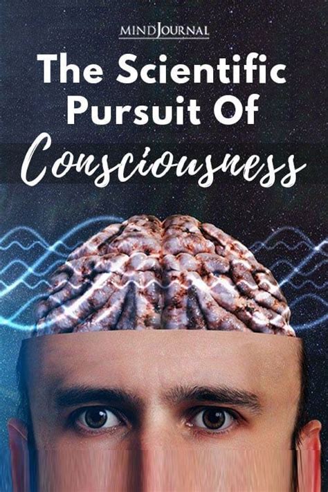 What Is Consciousness? The Scientific Pursuit Of Consciousness | What ...