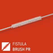 Ovesco Endoscopy AG - Fistula Brush