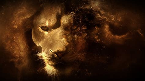 Lion 1080p Wallpaper - WallpaperSafari