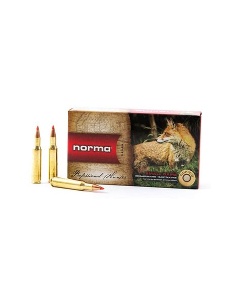 Norma Ammunition 243Win 6 5g Oryx