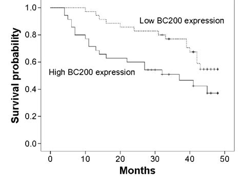 Figure 3 From Oncotargets And Therapy Dovepress Dovepress Bc200 Lncrna