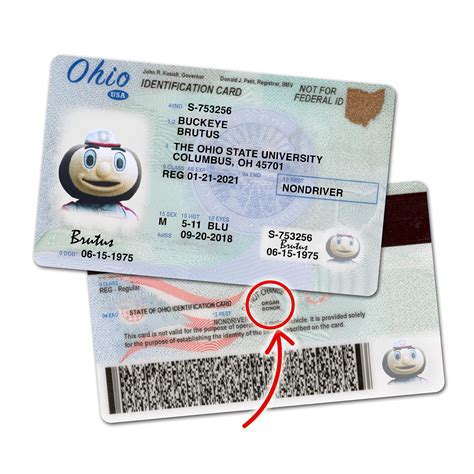 With the new changes in the Ohio driver... - Lifeline of Ohio | Facebook