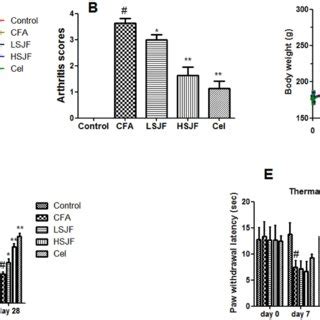 Effects Of SJF On MMPs Levels In Freund S Complete Adjuvant