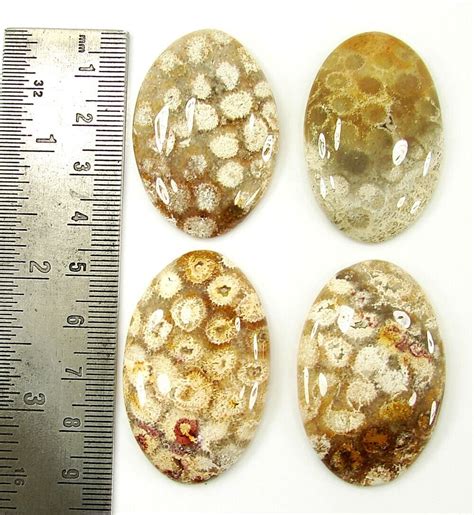 235 00 CT Natürlich Fossil Koralle 42 45 MM Lose Edelstein Cabochon 4