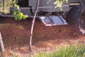 Full Circle Mushroom Compost Mushroom Compost Virginia