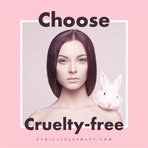 Cruelty Free Vs Vegan Understanding The Differences And Why They