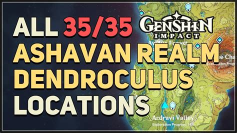 All Ashavan Realm Dendroculus Locations Genshin Impact Youtube