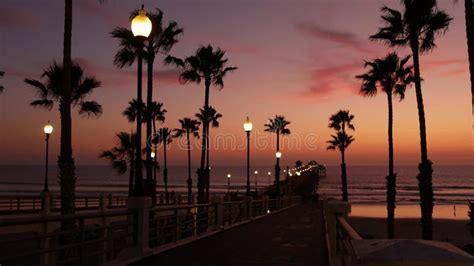 Palms And Twilight Sky In California Usa Tropical Ocean Beach Sunset