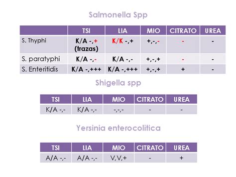 Baterías Bioquímicas Salmonella Spp Shigella Spp Yersinia Enterocolitica Tsi Lia Mio Citrato