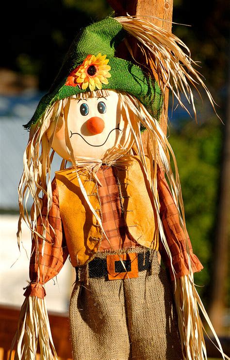 Scarecrow – License image – 70481952 lookphotos