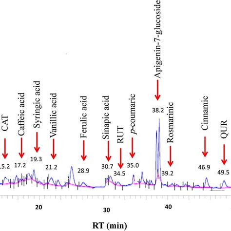 Hplc Chromatograms Of Phenolic Compounds In Cs Pae Download