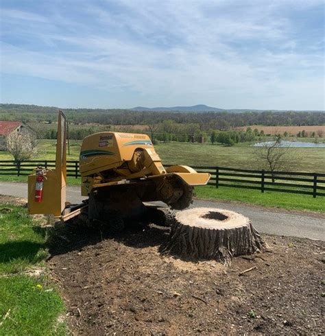 Clean Cut Tree Services Manassas Va Removal Trimming And Stump Removal