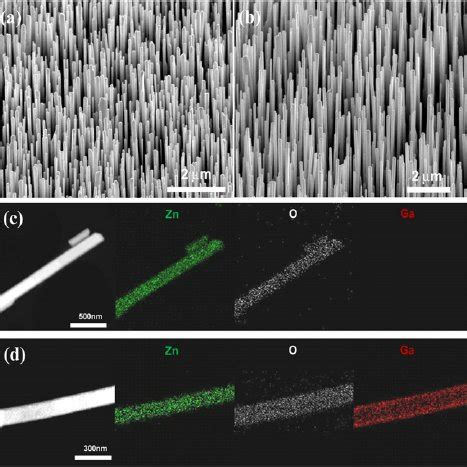 Sem Images Of A As Grown Nanowires And B Ga Incorporated Zno