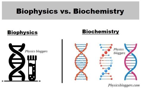 Biophysics vs. Biochemistry: Key Differences Explained