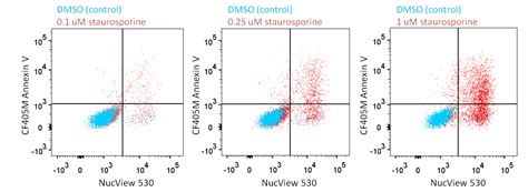 Nucview 530 Cf405m Annexin V Staurosporine Dose Curve