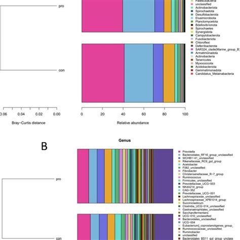 Rumen Microbiota Structure At Phylum Level A Rumen Microbiota