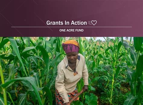 One Acre Fund Is Sowing Hope For Smallholder Farmers In Africa Nptrust