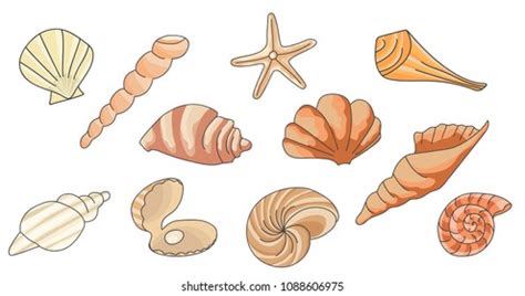 Shells Underwater Icon Set Frame Sea Stock Vector Royalty Free