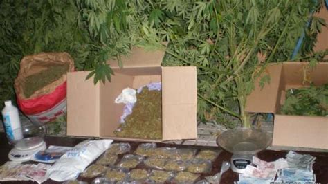 La Guardia Civil Desmantela Dos Puntos De Venta De Marihuana En Santa