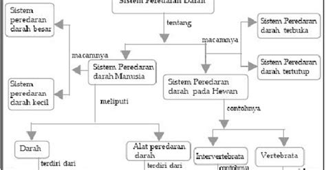 Peta Konsep Sistem Peredaran Darah Perumperindo Co Id