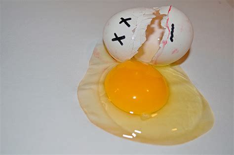 A Showcase Of Funny And Clever Egg Photography Blueblots