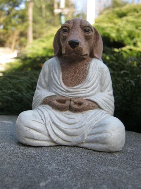 Buddha Dog Buddhas Zen Like Statue Meditating