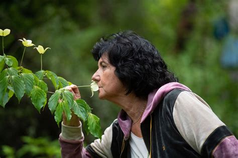 Visiter Le Monde Entier Dans Un Jardin Latronche Avec Le Pays D Art