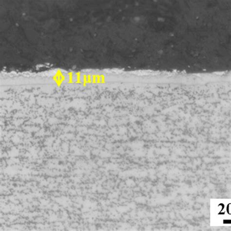 Om Micrographs Showing The Coatings And Microstructures After Hot