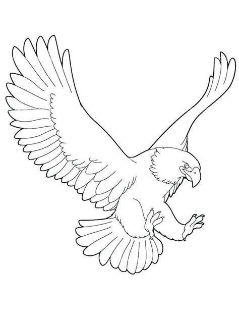 Flying Eagle Coloring Page At Free Printable