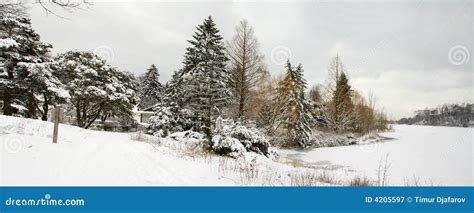 Winter Lake Shore View With Naked Snow Trees Stock Image Image Of Toronto Rhythm