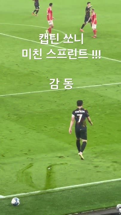 대한민국vs웨일스 국대 웨일즈전 손흥민 직캠 감동 손흥민 조규성 국대 Wales 국가대표 김민재 국가대표 직캠