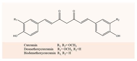 Bovine Serum Albumin Based Nanoparticles Preparation Characterization And Antioxidant